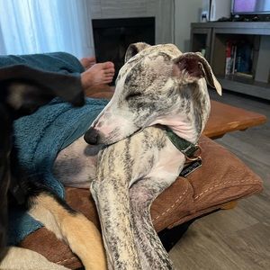 Meet your Posher, Kailey